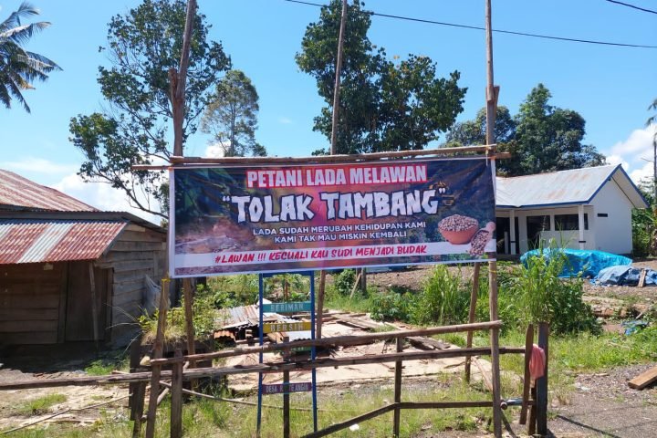 Petani Merica tolak tambang