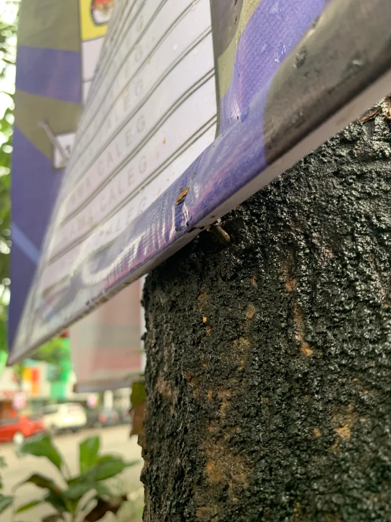 Potret spanduk kampanye paku pohon di sejumlah ruas jalan di Kota Makassar/A Nur Ismi/Bollo.id