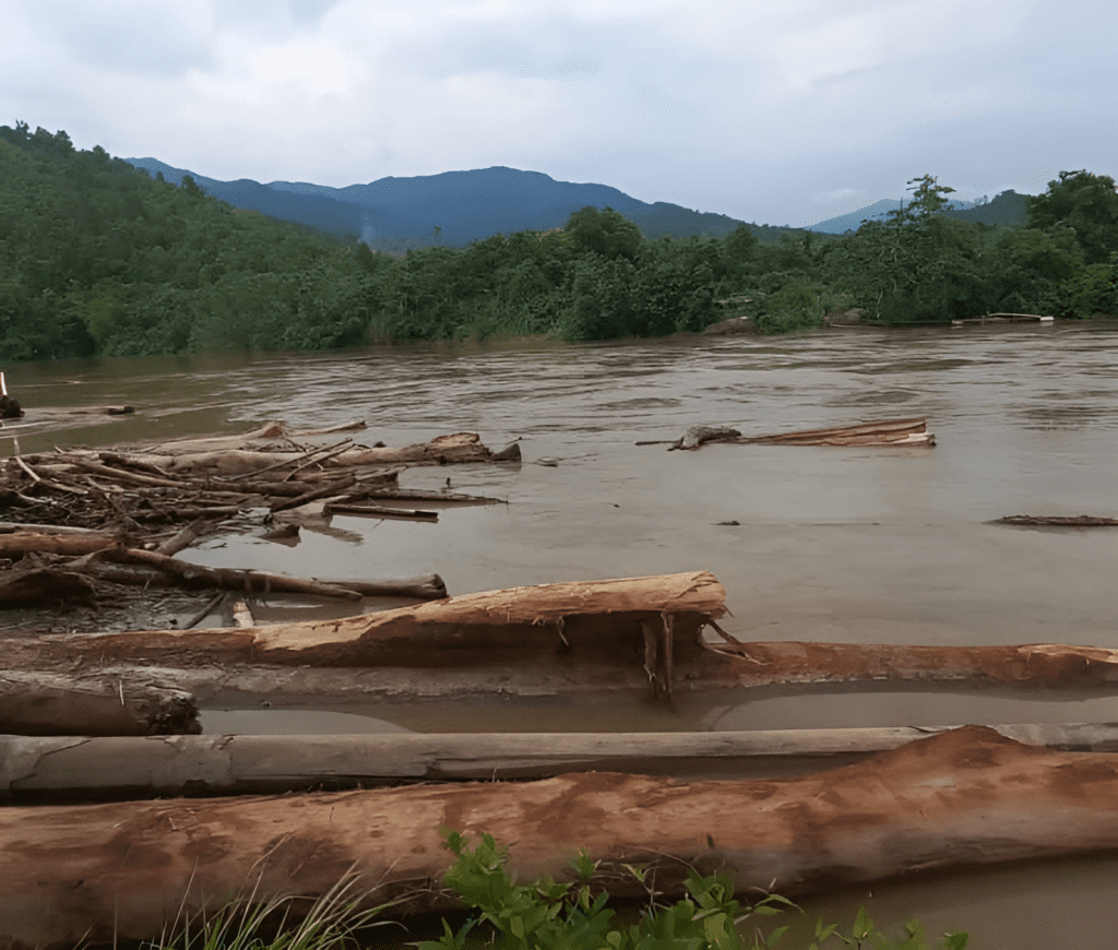 Potret material kayu hanyut berserakan di Sungai Malili, Luwu Timur/Arkil Batara Dirga Pangeran/Bollo.id
