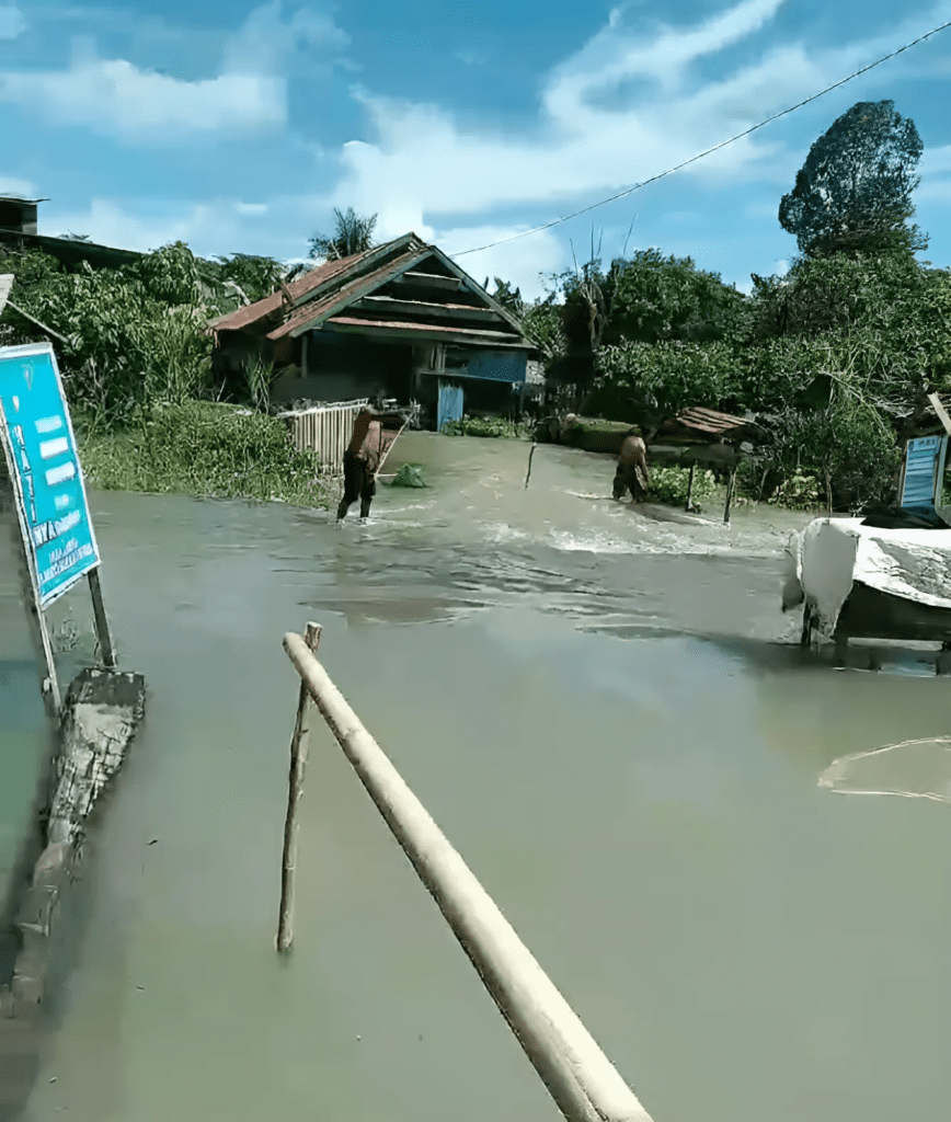 Potret banjir di Desa Lawewe, Kecamatan Baebunta Selatan, Luwu Utara/Dokumentasi Warga