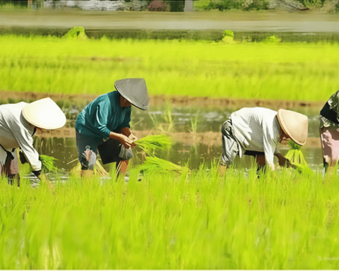 Ilustrasi, petani/upland.psp.pertanian.go.id