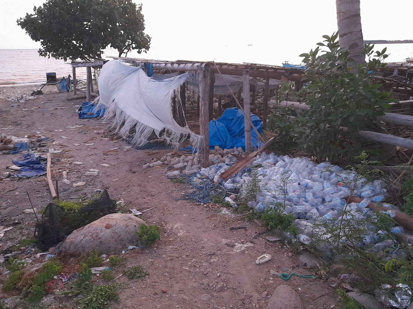 Sampah botol plastik yang dimanfaatkan untuk pelampung rumput laut/Andi Audia Faiza Nazli Irfan/Bollo.id