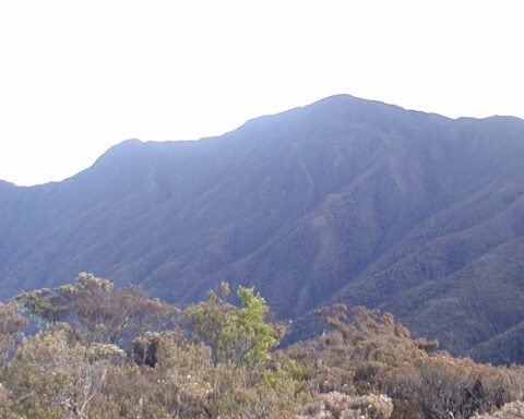 Gunung Latimojong/the7summitsindonesia.com