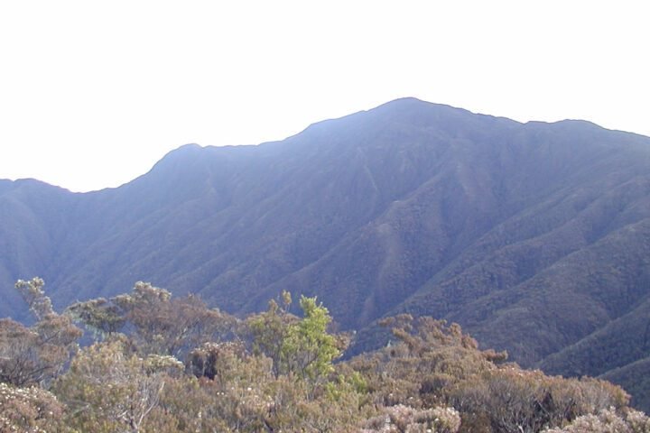 Gunung Latimojong/the7summitsindonesia.com