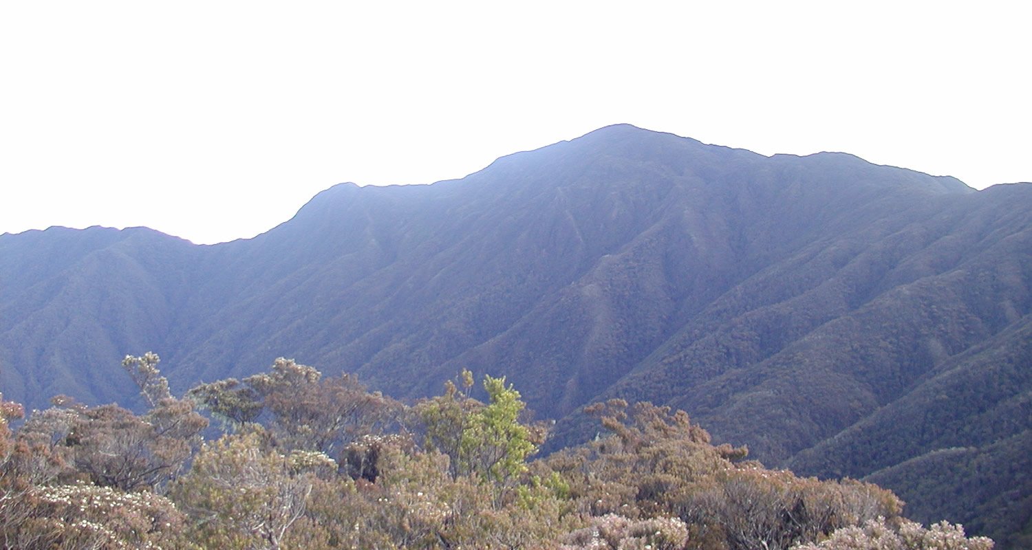 Gunung Latimojong/the7summitsindonesia.com