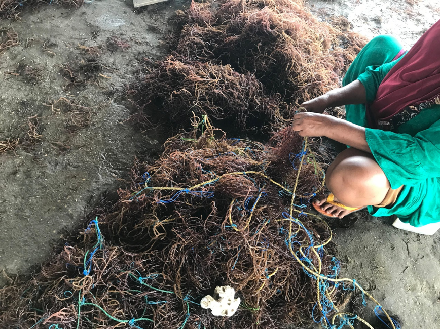 Aktivitas perempuan petani rumput laut di Bantaeng/ Gayatri Resqi Wulandari Gani/Bollo.id