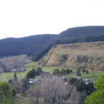 Bentang Alam Sungai Whanganui/Foto: Hasbi Assidiq