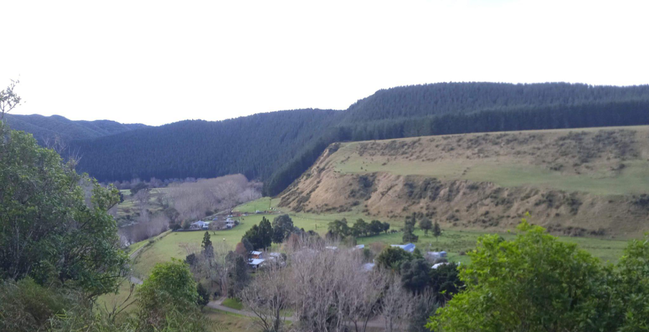 Bentang Alam Sungai Whanganui/Foto: Hasbi Assidiq