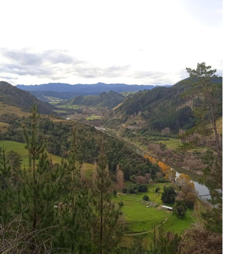 Bentang Alam Sungai Whanganui dari atas bukit/Foto: Hasbi Assidiq