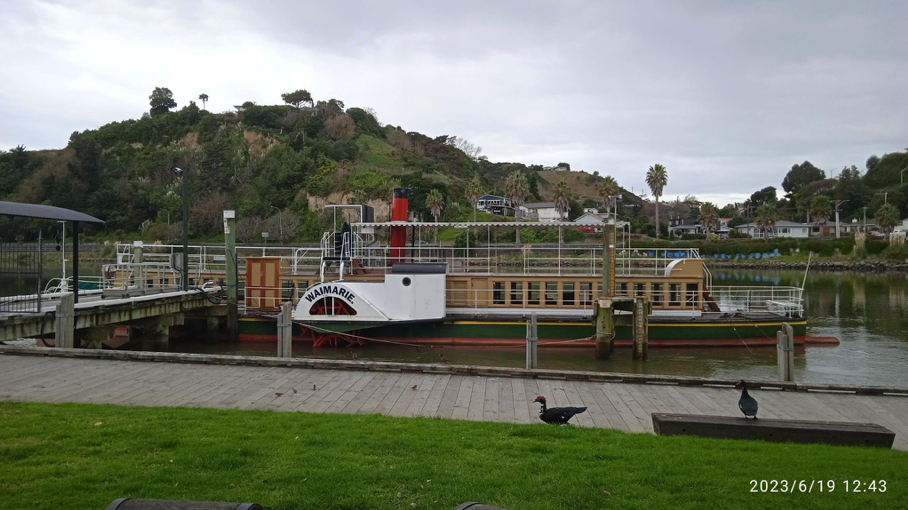 Sungai Whanganui di tengah kota/Foto: Hasbi Assidiq